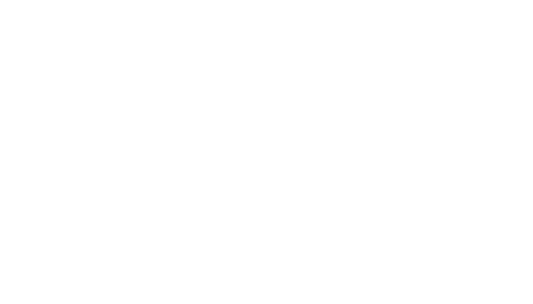 Soliy Logo